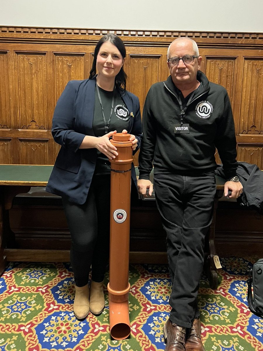 SelenaCaamano's tweet photo. 💙Drainpipe Feeders for Ukraine💛
❄️A Lifeline for Homeless Animals❄️
Photo 1: Palace of Westminster, House of Commons, London. 
Photo 2: Bucha, Kyiv Province, Ukraine. 
🫶Supplied by @Naturewatch_org
🫶Installed by @uwarf1
#APDAWG #UnsungHeroes #UWARF #Bucha #Kyiv #Ukraine https://t.co/TwoUNfwYRt