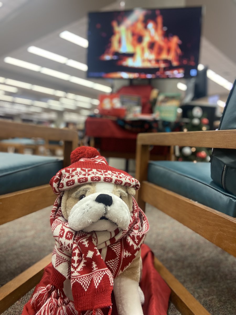CHSLibrary1's tweet image. Come get cozy with Scout at your CHS library!
@CentralBulldog
 
#librarymascot #chslibrary #spslib