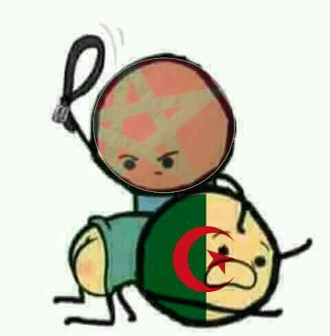 Linamehdi123's tweet photo. @vivalalgerie7 موت في سمك 😂 https://t.co/xQMY8vGuCs