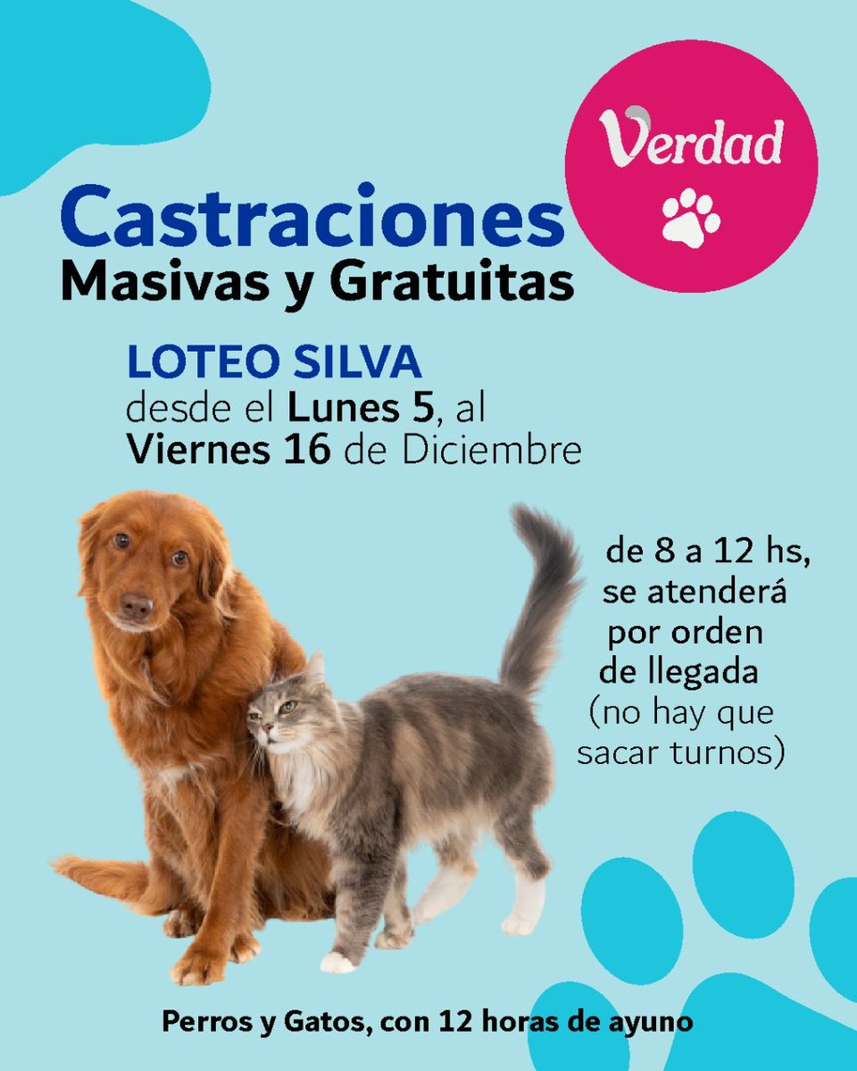niunomasVP's tweet photo. CASTRACIONES GRATIS EN VIEDMA, LOTEO SILVA. HASTA EL VIERNES!!!
PERRXS, GATXS CON 12 HORAS DE AYUNO💪❤️ https://t.co/K2xpKFhUP9