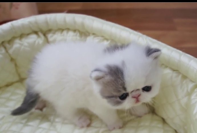 SlMONRILEY's tweet image. Rare Delaney sighting.