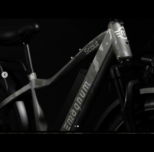 plus_ebike tweet picture