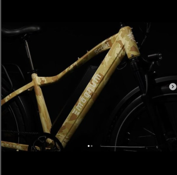 plus_ebike tweet picture