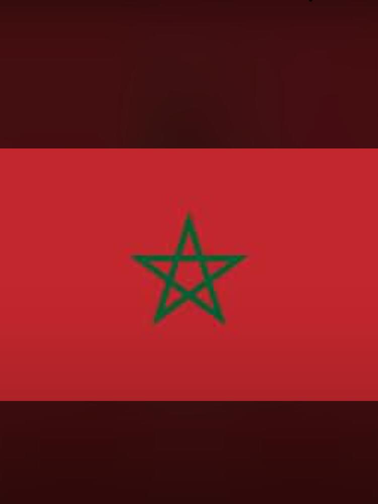 Bashpumpy's tweet image. Up Africa ! Up Morocco!!! All other Africa countries are proud you.
See you in the final again Brazil after winning the next match .😊😊😊🙏🙏🙏