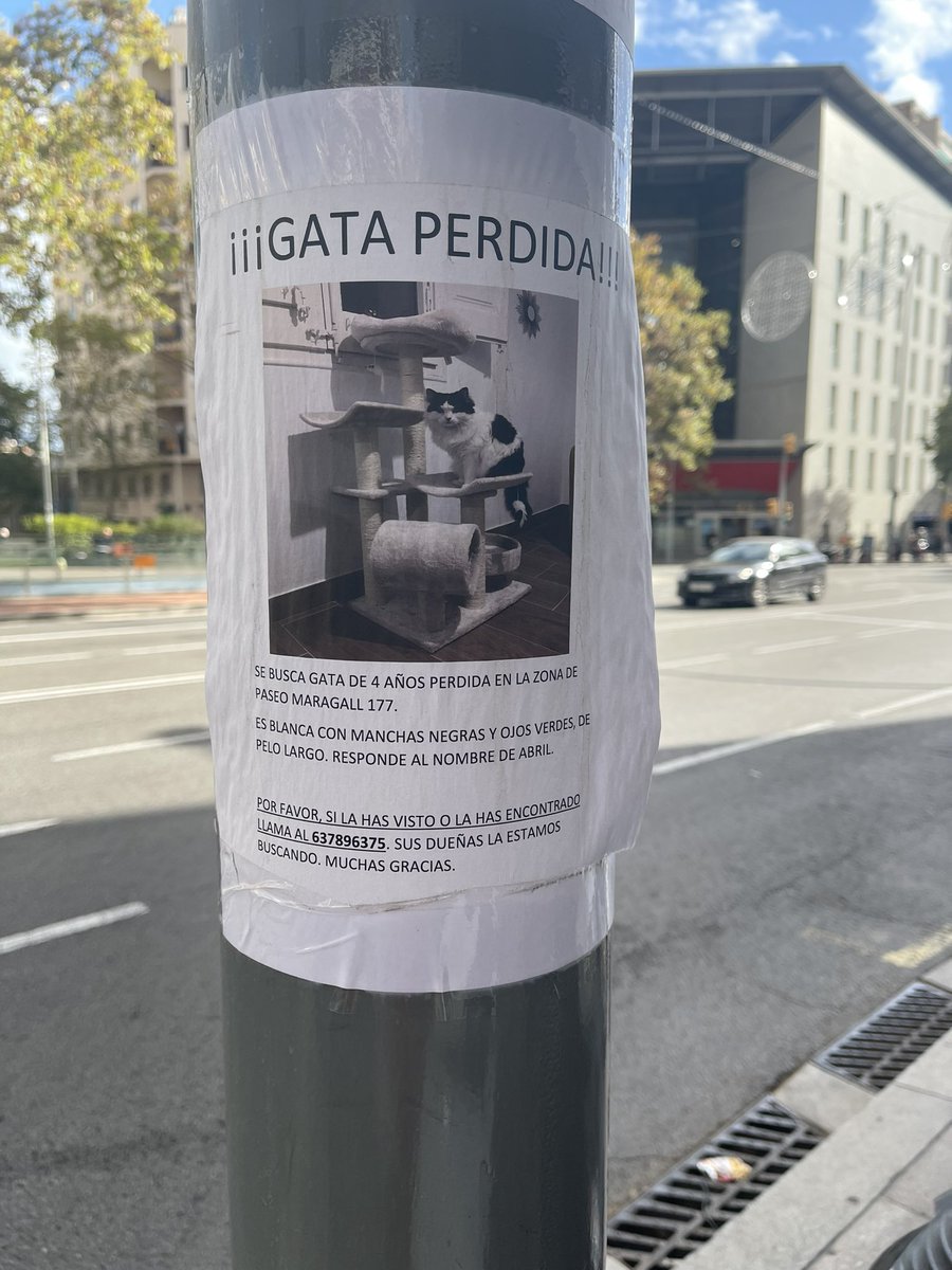 Hola Victoria <a href="/szpunberg/">Victoria Szpunberg</a> l’has traduït al castellà?!!!