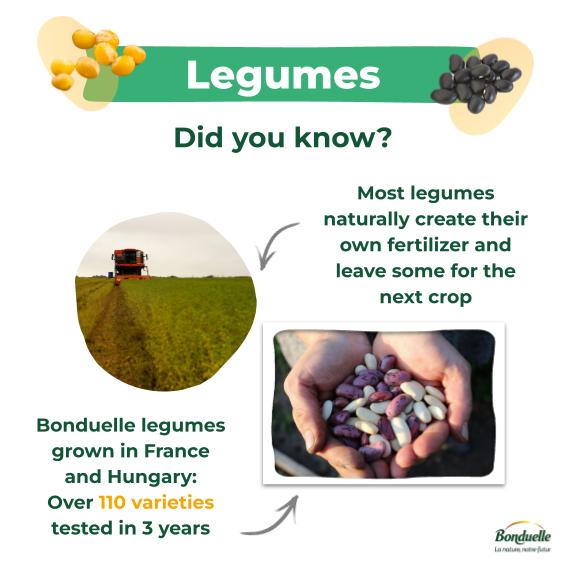 💪 We're helping to develop #pulses pathways to inspire the transition to #plant-based food. Did you know? Most #legumes create their fertilizer and leave some for the next crop, lowering the carbon impact of agriculture 🌿