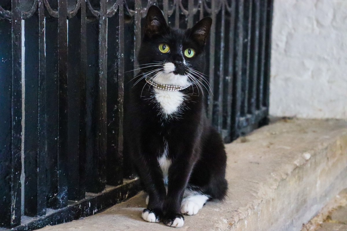 Diamonds are a girls best friend and Christmas is coming #justsaying