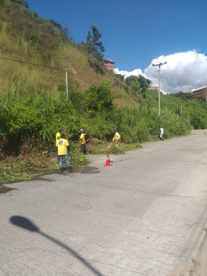 ElHatillo's tweet photo. Cuadrilla vial, realiza limpieza y desmalezado de laterales viales en la calle #Humboldt , #LaLagunita #LosNaranjos y #Tiama

#SeguimosTrabajando
#NoParamos https://t.co/U1Yh0mjhEo