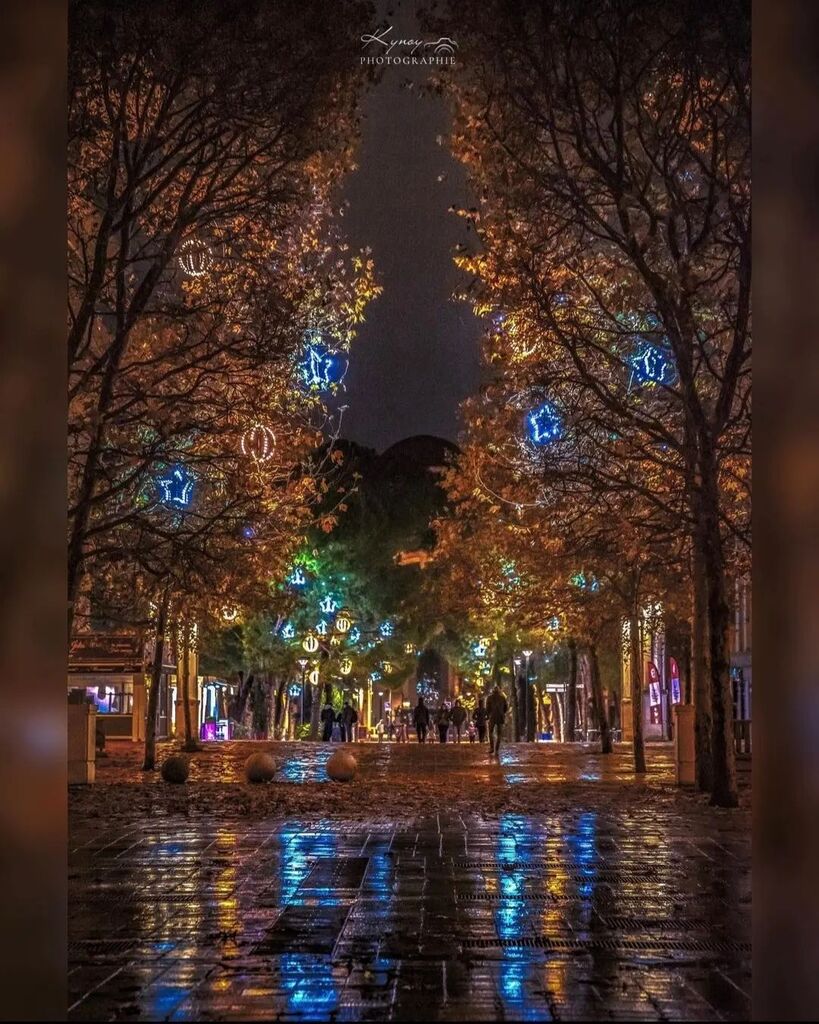 vous présente sa sélection photo du jour✨
—————————
✪ Photo @kynoyb
Bravo à toi et merci pour ce partage 👍
Felicitations pour cette belle photo
Allez vite vite! Voguez vers sa galerie 👌
✪ Sélectionnée par : @balade_en_photos (@igersvalenciennes)
… instagr.am/p/Cl1jojkKFMH/