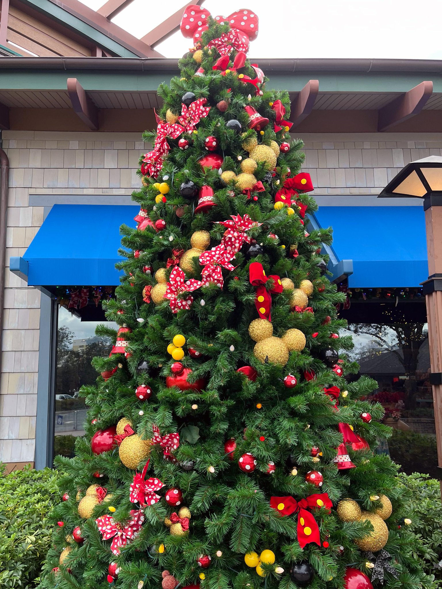 Disney Springs on Twitter "The Disney Springs Christmas Tree Stroll