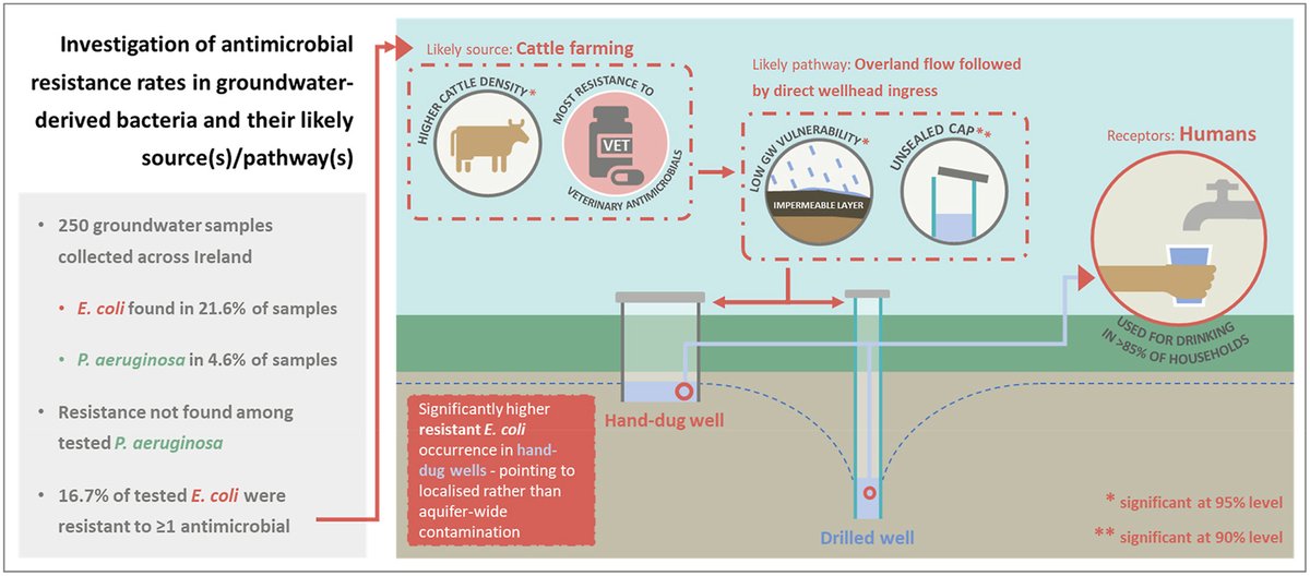 Hot off the press! The 3rd paper from <a href="/Luisa_A_Andrade/">Luisa Andrade</a>'s PhD has now been published in Environmental Pollution.

The paper looks at levels of AMR in bacteria isolated from private wells.

Antimicrobial resistance present in 16.7% of E. coli isolates!

Link:bit.ly/3Fx0okA