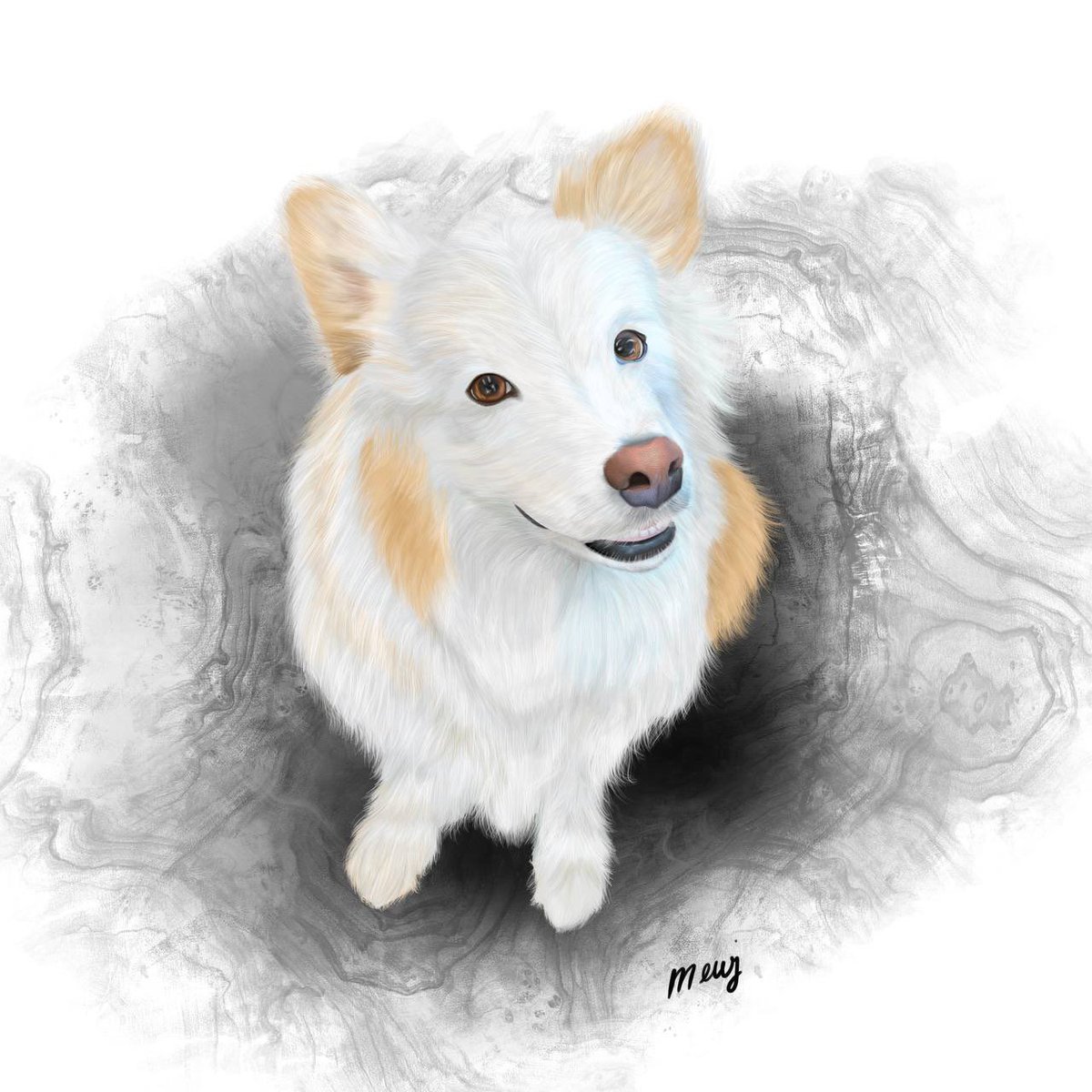 High5Forever's tweet photo. Win a drawing of your pet! 

I want to get better to draw animals, so why not make a competition? 

You must: 
- be following me 
- retweet this tweet 
- reply with a picture of your pet. 

A winner will be drawn on Sunday ❤️ https://t.co/uGDasaaPOG