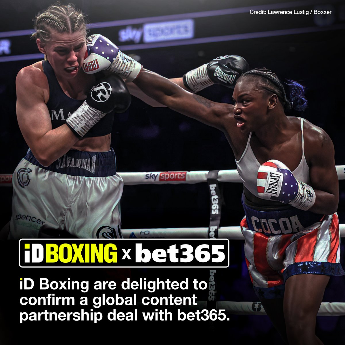 BoxingNewsPlus's tweet photo. 🤝 @idboxingnews are delighted to announce a new global content partnership with betting giants @bet365.

We look forward to a continuing to deliver the highest quality #boxing content with the support of our new partners. https://t.co/6uD8qI8v7Q
