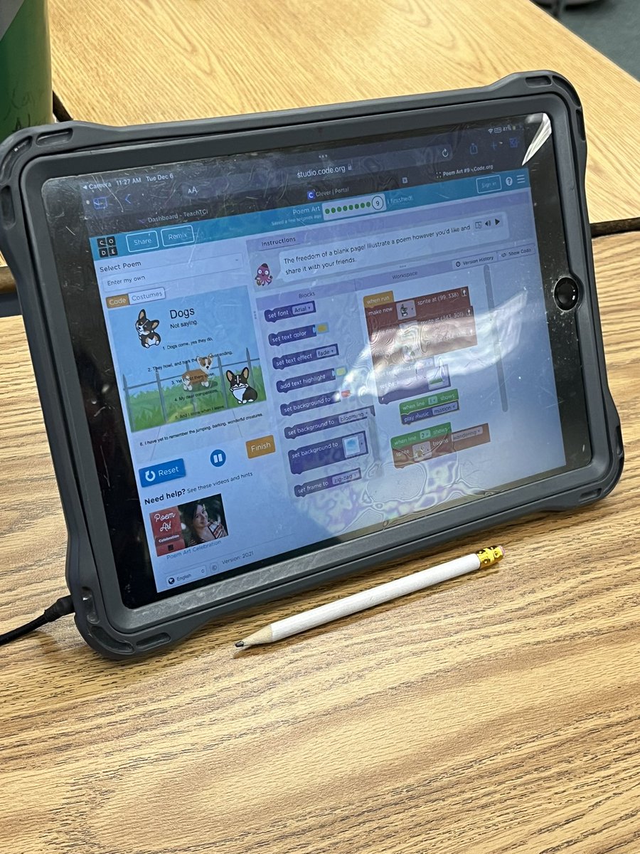 Rachel DiSanto tweet media