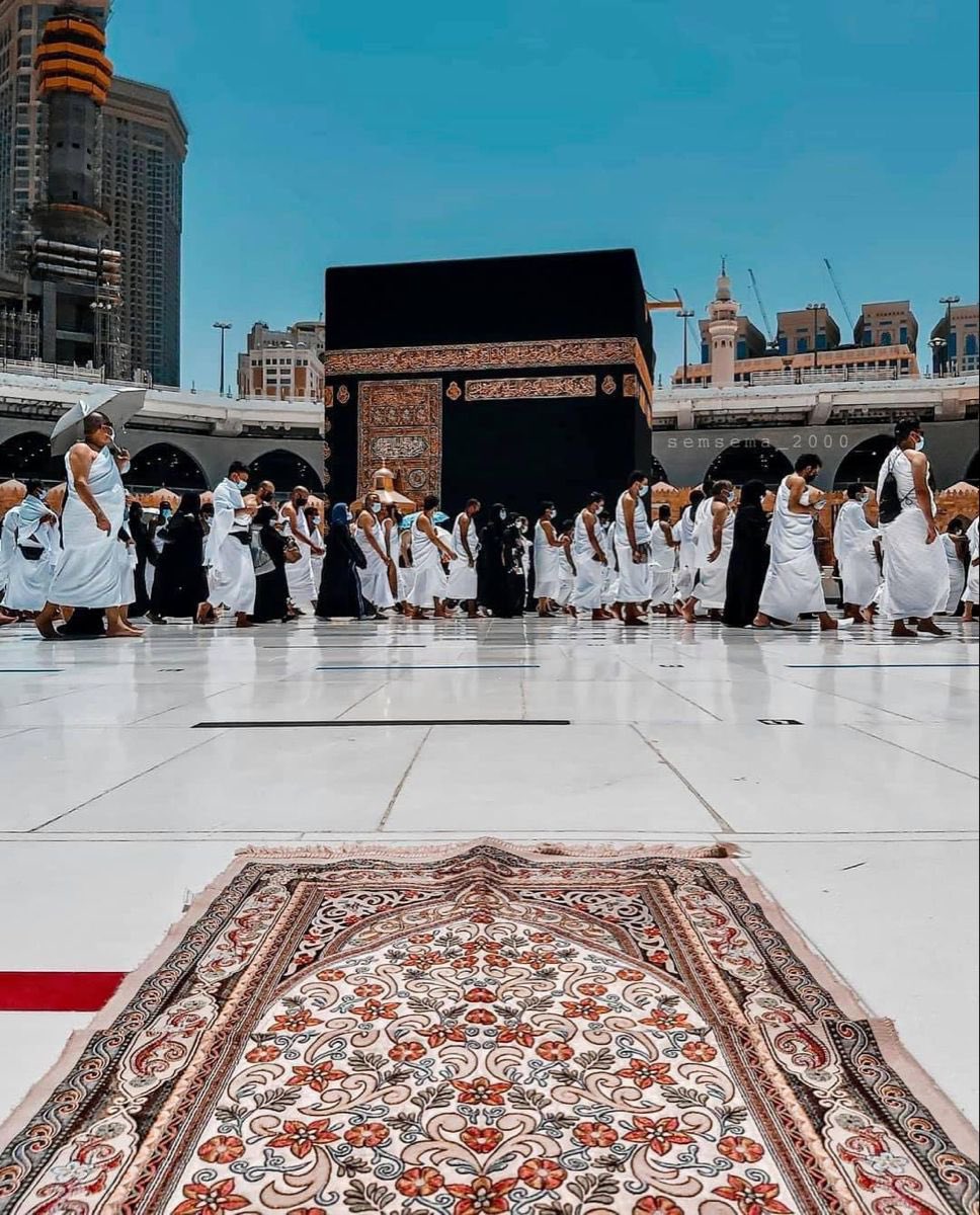 حكمة tweet media