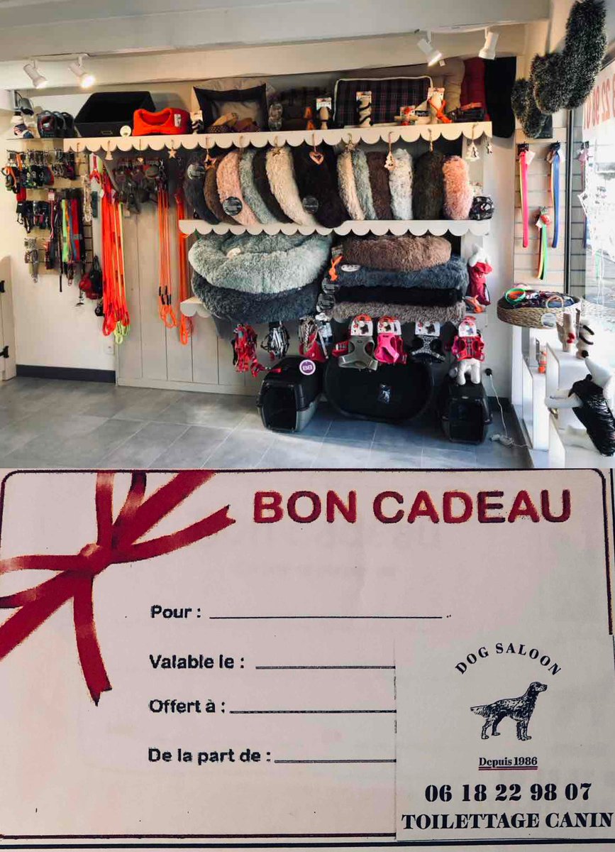 DogSaloon's tweet photo. Et comme c'est Noël chez Dog Saloon, nous vous proposons nos bons cadeaux à offrir et tous nos accessoires disponibles en boutique à glisser sous le sapin pour vos fidèles compagnons... 🎄🐾 #dogsaloon #dogsaloonnimes #doglovers #dogs #boncadeau https://t.co/gggRnGtChU