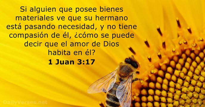 MarianFrattini's tweet photo. https://t.co/PQq2GqSisV