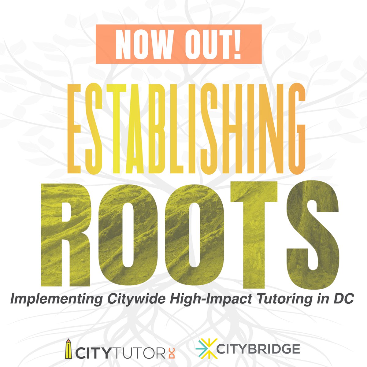 After a year of work, <a href="/CitytutorDC/">CityTutor DC</a> has uncovered the principles of what we’re calling “the connected forest” strategy. 

Read their white paper, Establishing Roots: Implementing Citywide High-Impact Tutoring in DC: ow.ly/Sp7950LWP8h