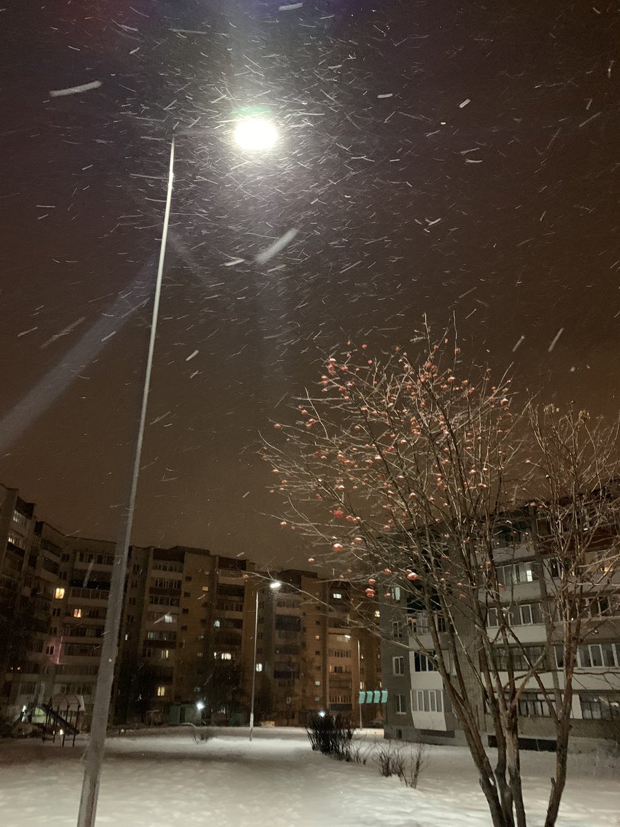 imeieruu's tweet photo. книжками нынче я делюсь в тг и поэтому снова оставляю ссылочку 🤍
https://t.co/038qNa5nuu https://t.co/ddC7ZtsyXW