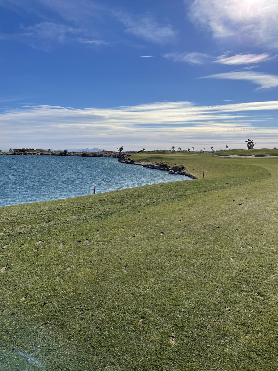 West Virginia University Club Golf Team tweet media