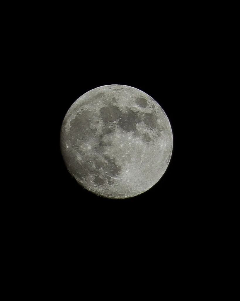 TomMcAdam's tweet photo. Moon

#moon #mood #moodygrams #photooftheday #photography#instadaily #igers #tomtakesphotos #switzerland https://t.co/xQyiu1B4At https://t.co/ZtDHZtyCtO