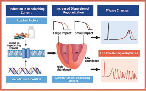 🔴Cardiac Repolarization in Health and Disease @JACCJournals #CardioEd #Cardiology #EPeeps @bjboukens