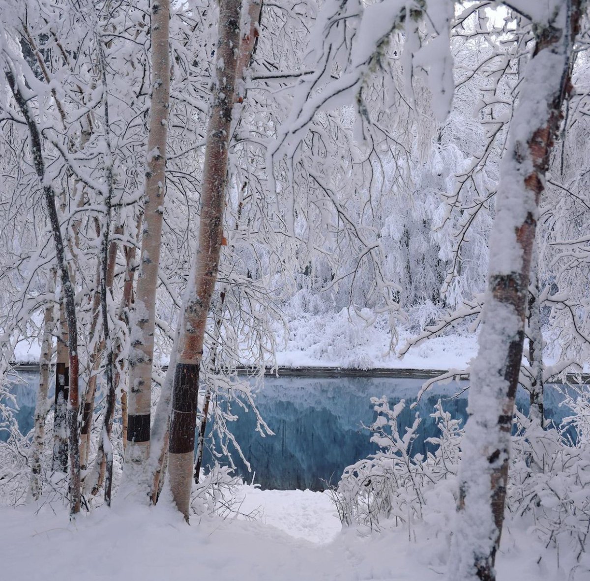 Alaska.org (@alaskatravel) on Twitter photo Does your Alaskan Dream trip consist of summer or winter adventures? You just can’t go wrong with either! <a href="/northern/">Crypto M. Burns</a>.exposure.photography #youneedalaska Does your Alaskan Dream trip consist of summer or winter adventures? You just can’t go wrong with either! <a href="/northern/">Crypto M. Burns</a>.exposure.photography #youneedalaska