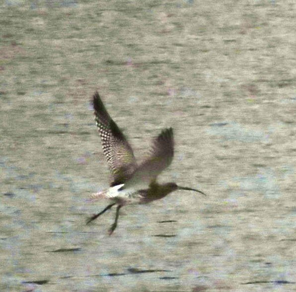 Jon Belcher tweet media