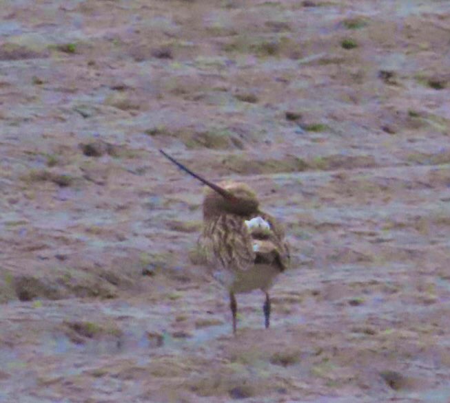 Jon Belcher tweet media