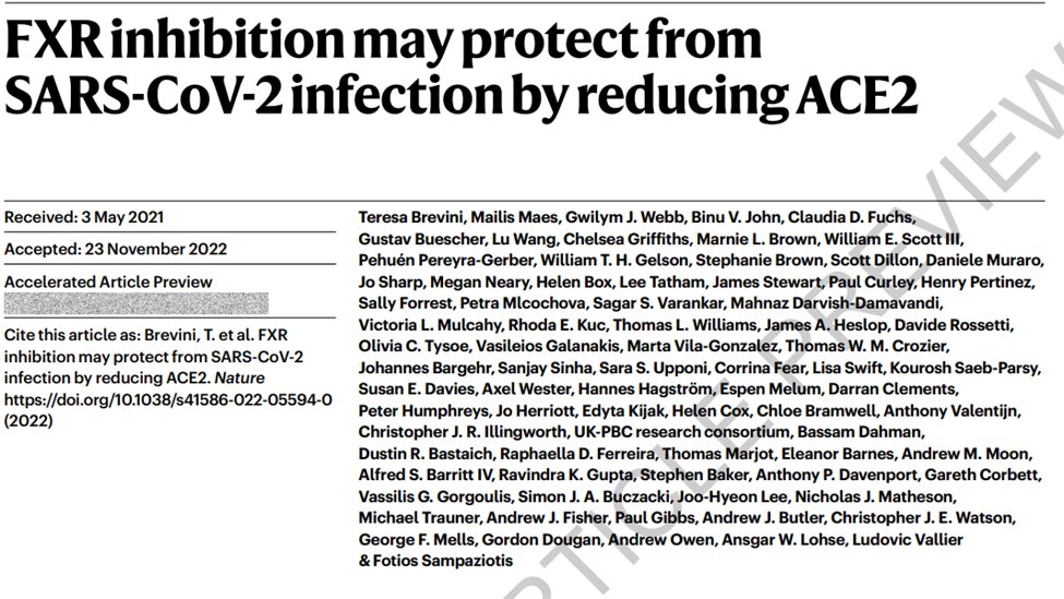 AndrewMMoon's tweet photo. Excited to announce that a paper on the role of FXR inhibition in COVID-19 resulting from an international collaborative effort led by @BreviniTeresa and Fotios Sampaziotis and using data from @SecureLiver and @CovidHep is now online in @Nature https://t.co/Wqdiv7c8yt