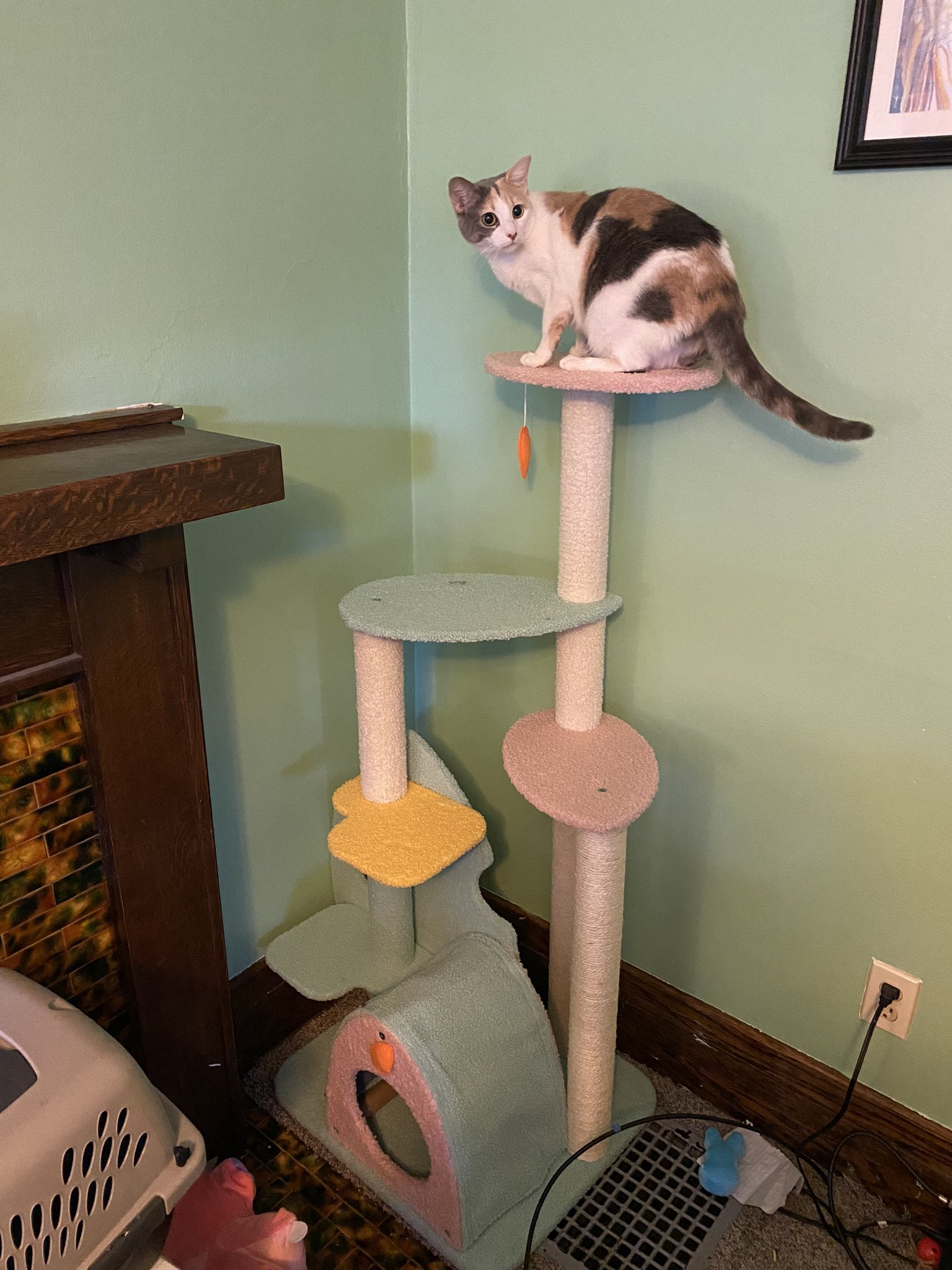 Happy & Polly (happyandpolly) / Twitter