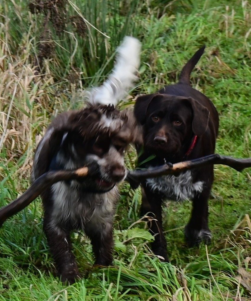 When your pal steals your stick!