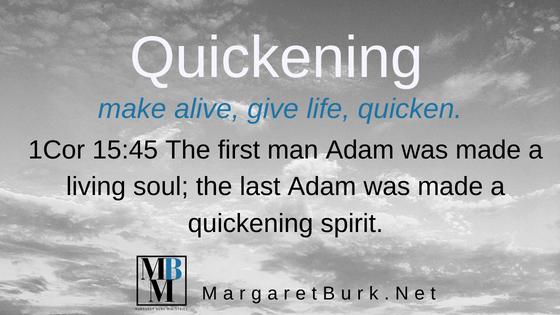 Margburk's tweet photo. a Quickening Spirit! https://t.co/m0nCR9V68U