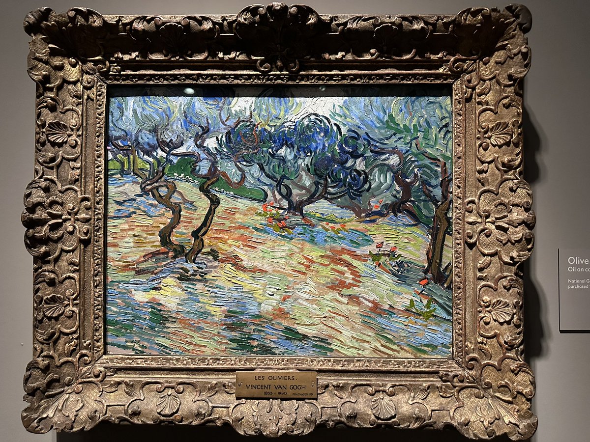 rrple's tweet photo. A stunningly beautiful &amp; moving exhibition. These are olive trees outside the psychiatric hospital he last stayed in. https://t.co/cm1gNSyw7A