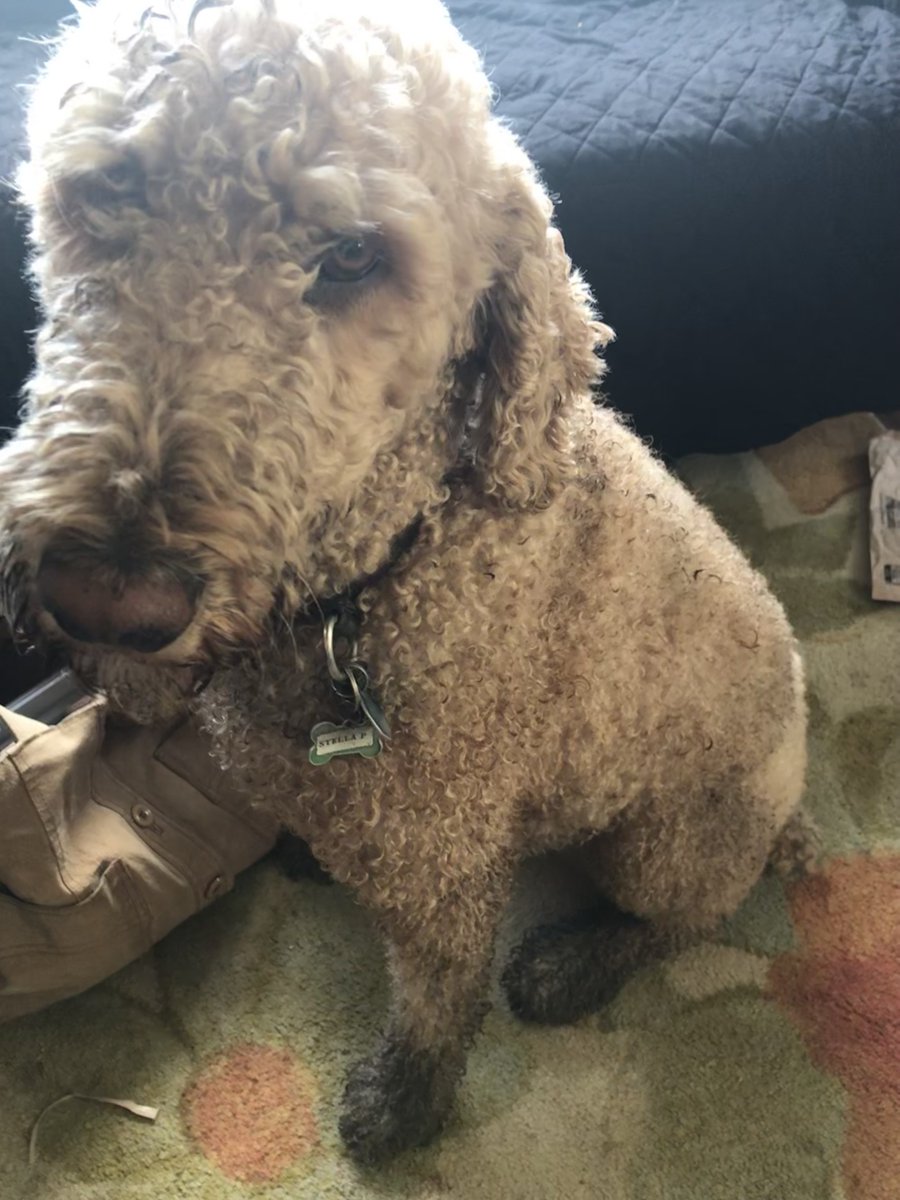 Cris Ewing tweet media