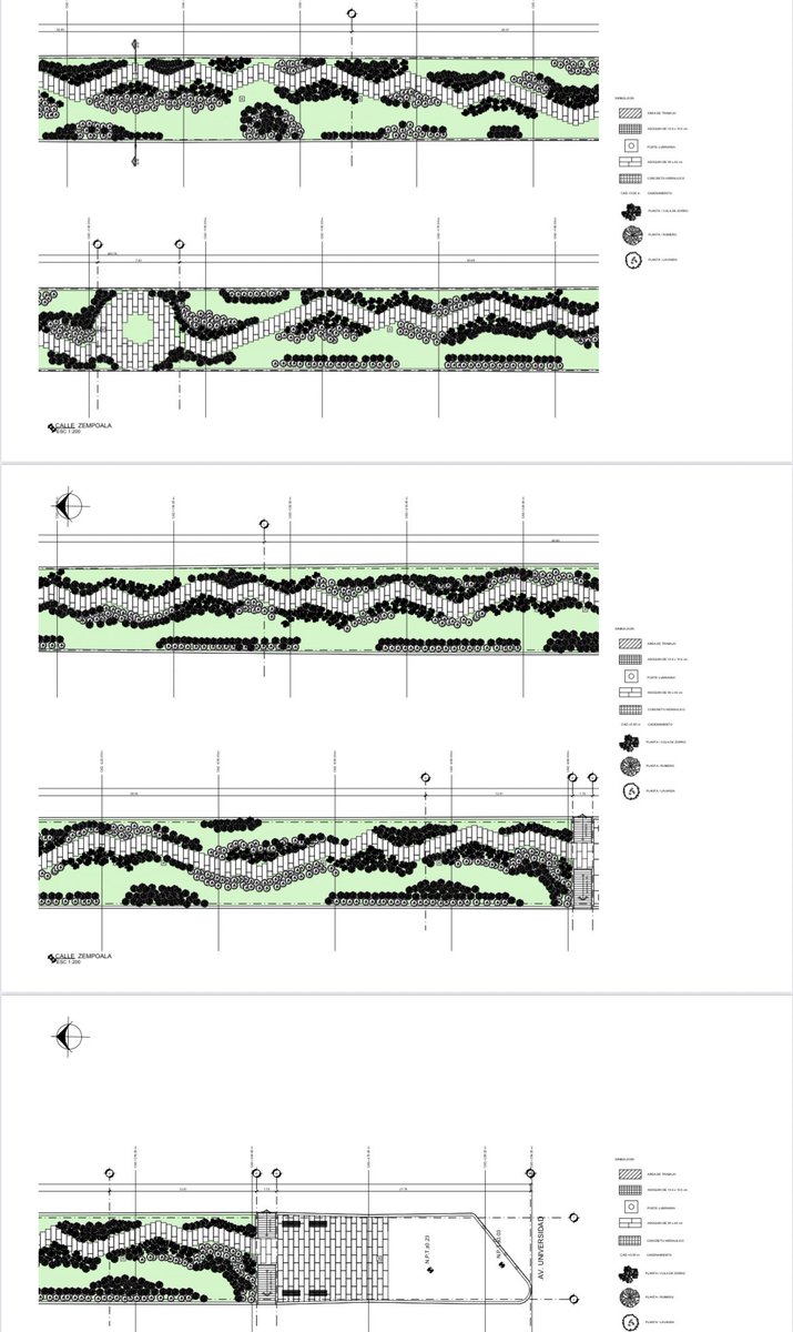 No es fácil comenzar un proyecto de rescate de espacio público cuando existen adversidades,con disciplina y profesionalismo alcanzan los objetivos. Felicito a Isis Villicaña y a Leonor Zumaya por impulsar el rescate y reforestación de camellones “modelo” en #Narvarte <a href="/BJAlcaldia/">Alcaldía de Benito Juárez</a>