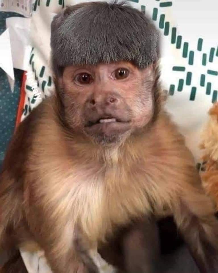 corridosybandas's tweet image. En el jale   //  En las posadas