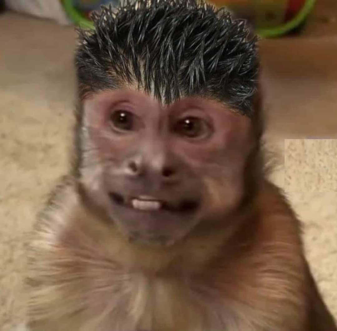 corridosybandas's tweet image. En el jale   //  En las posadas