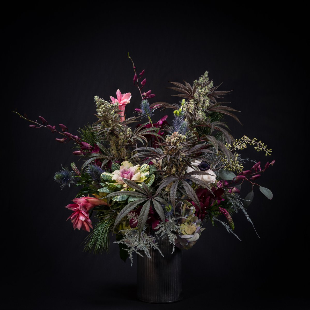 SweetgrassCann1's tweet photo. Our in-house photographer has been working with a local florist on a side project that showcases Kootenay grown cannabis (like our Crunch Berries) amongst various floral arrangements. Check out more of his work on IG: https://t.co/3Ir2332YdU https://t.co/3n6Qfo4sNs