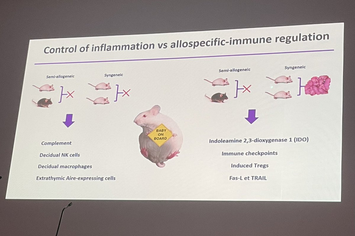 Alice Koenig tweet media