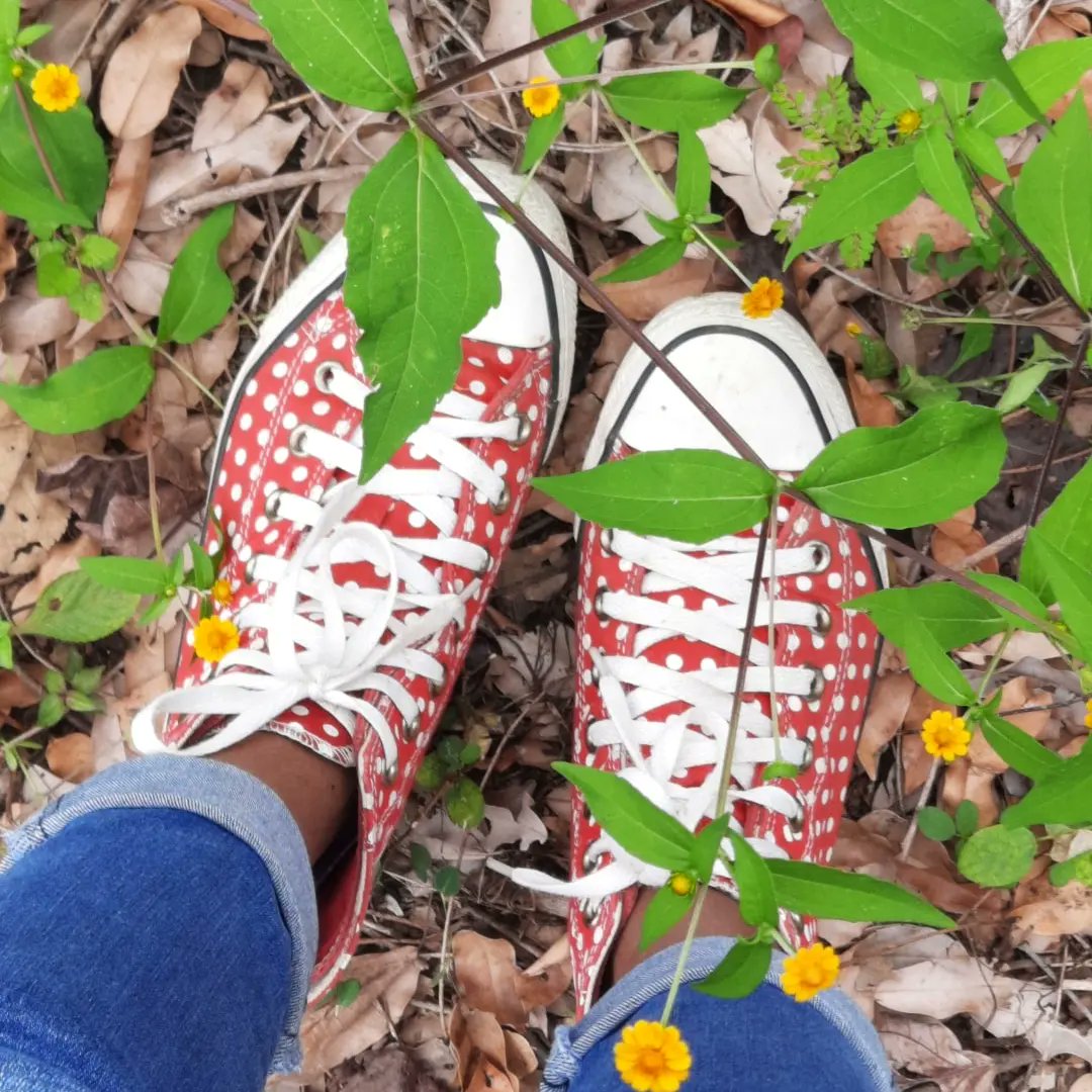 024files's tweet image. november mini photo dump ! 📁