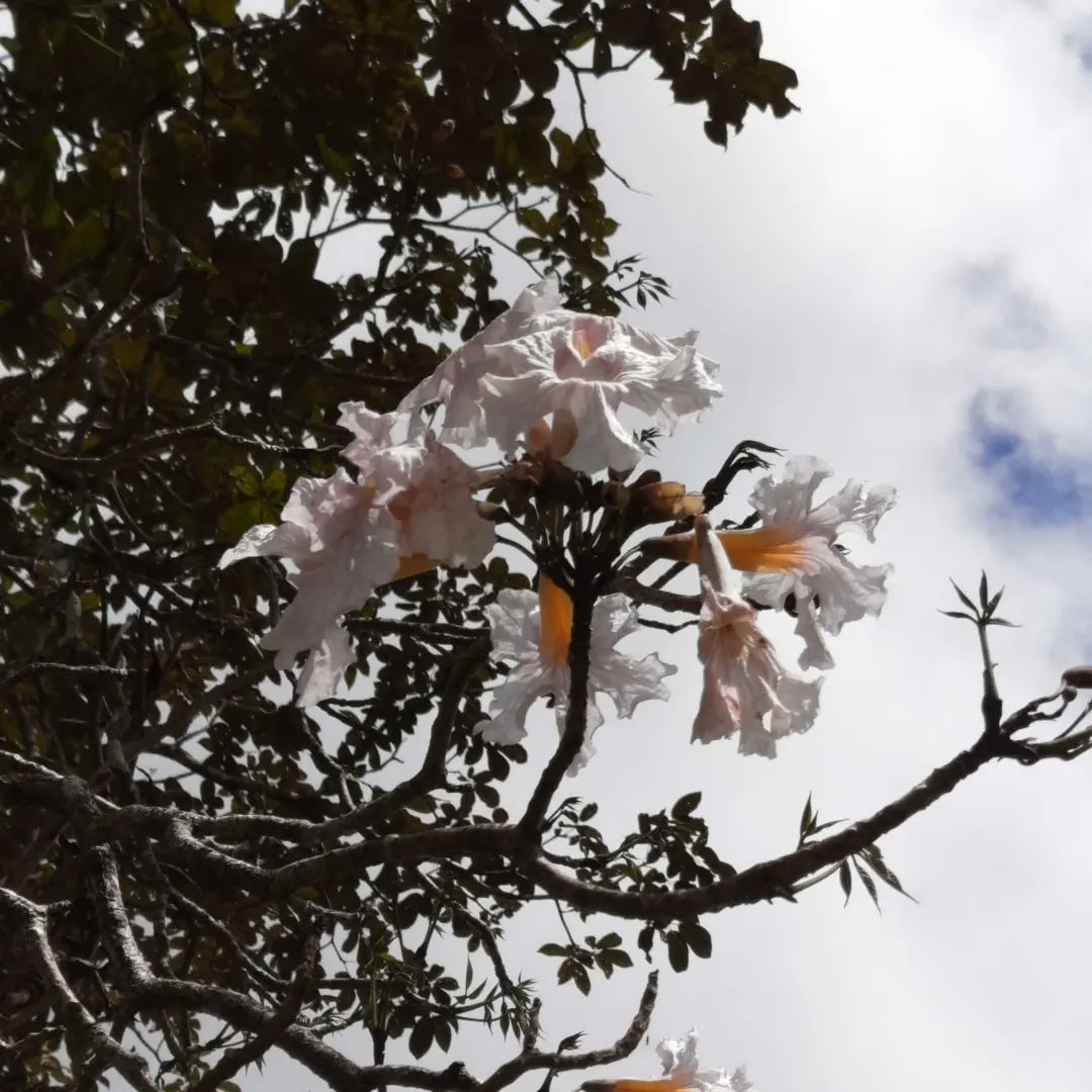 024files's tweet image. november mini photo dump ! 📁