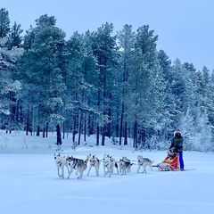 _Alaska_Nina's tweet image. The account may have been hacked in between Prez vetting and list going out.
Everyone should keep that in mind.
Check followers from profile page, 1-2X per week if you are active.
#DemocracyDefense