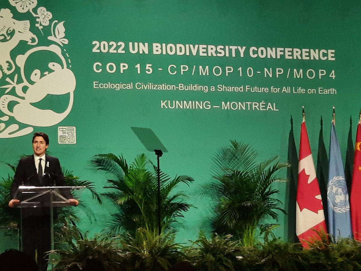 Odalys Caridad Goicochea Cardoso (@ogambientecuba) on Twitter photo Con un llamado a la protección de la naturaleza y a eliminar las amenazas a la #Biodiversidad, se inaugura la #COP15. La delegación de #Cuba participa. #CubaPorLaVida <a href="/ElbaRosaPM/">Elba Rosa</a> <a href="/SANTANACITMA/">JOSE FIDEL SANTANA NUÑEZ</a> <a href="/adianez_taboada/">Adianez Taboada</a> <a href="/TareaVida/">Tarea Vida</a> Con un llamado a la protección de la naturaleza y a eliminar las amenazas a la #Biodiversidad, se inaugura la #COP15. La delegación de #Cuba participa. #CubaPorLaVida <a href="/ElbaRosaPM/">Elba Rosa</a> <a href="/SANTANACITMA/">JOSE FIDEL SANTANA NUÑEZ</a> <a href="/adianez_taboada/">Adianez Taboada</a> <a href="/TareaVida/">Tarea Vida</a>