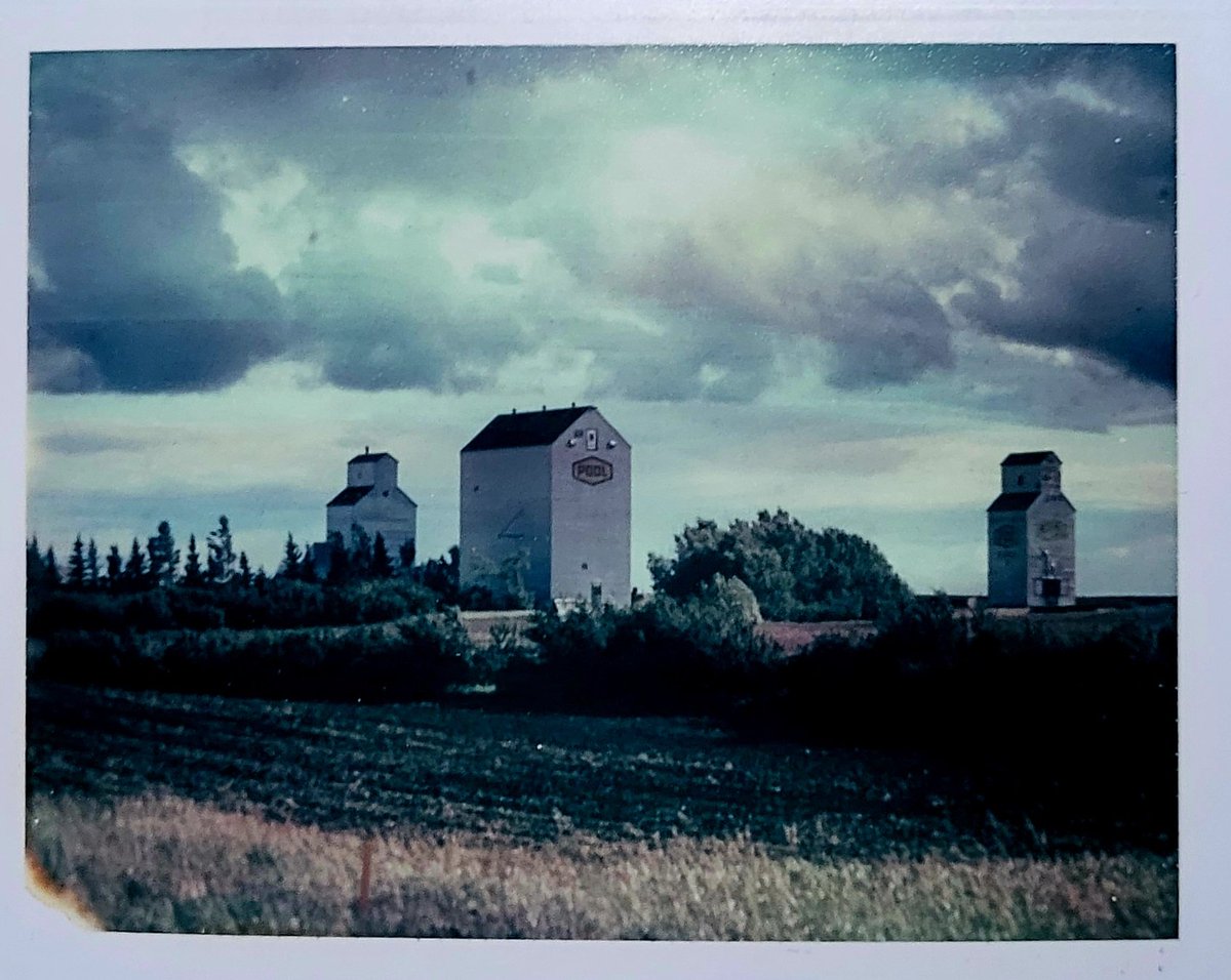 CryptoK37364015's tweet image. Late gm. 
#GhostsofthePrairies
A documentation of the disappearing grain elevators.
Dropping soon on #objkt 
Shot on 35mm Colour Negative Fuji Velvia film
Printed onto expired #Polaroid669ER film using a Daylab Printer.

#tezos #tezosartweek #GrainElevators #PrairieLife #Polaroid