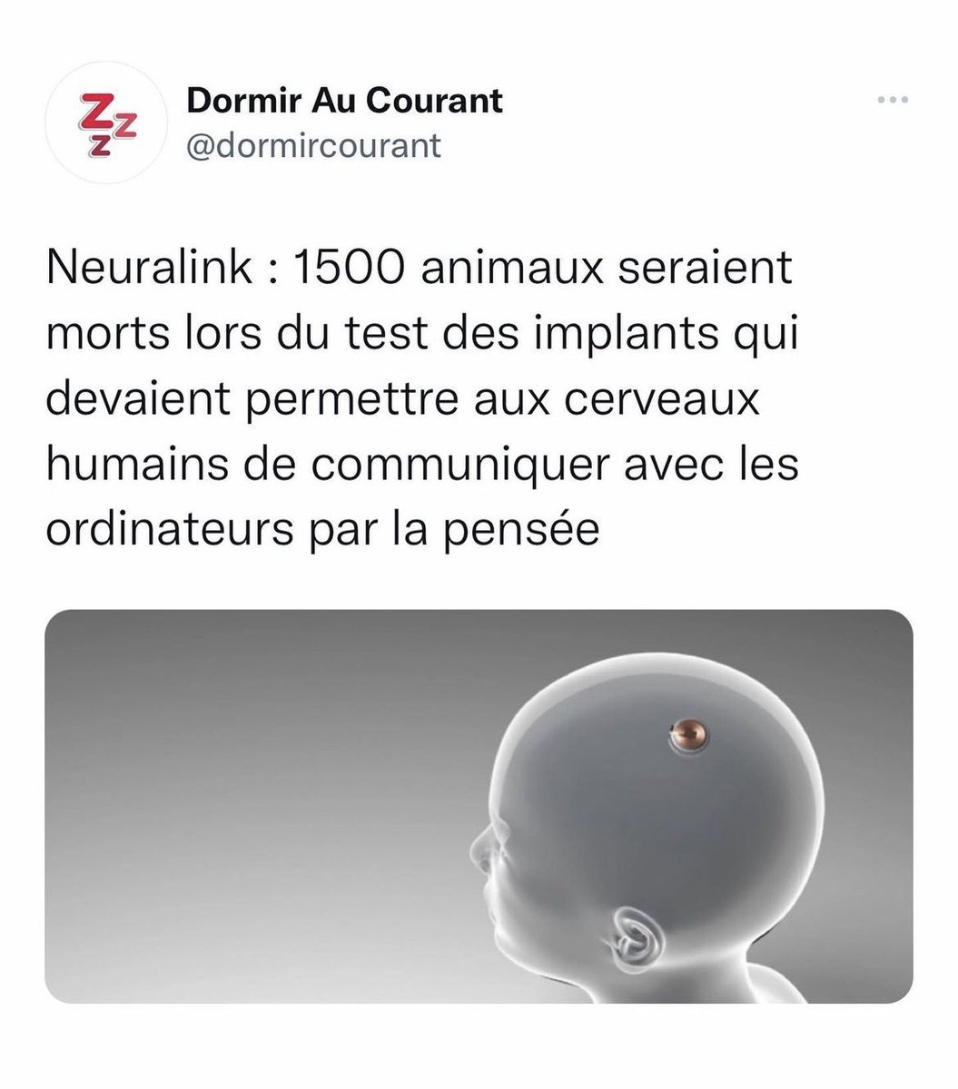 Mathilde LMD tweet media