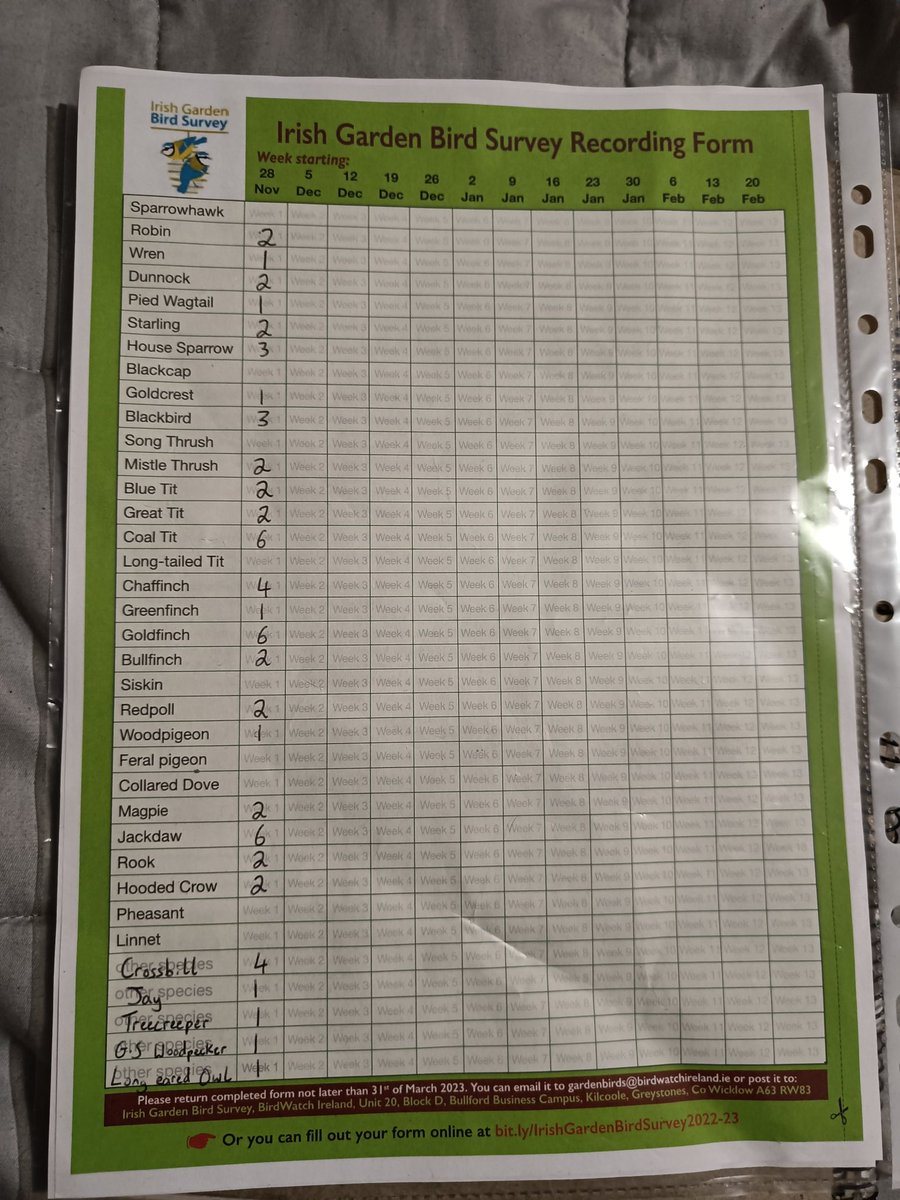 Great first week of the #IrishGardenBirdSurvey for the garden. All five 'other species' columns filled out already including the return of one of the roosting Long eared Owls for a second successive winter 🦉