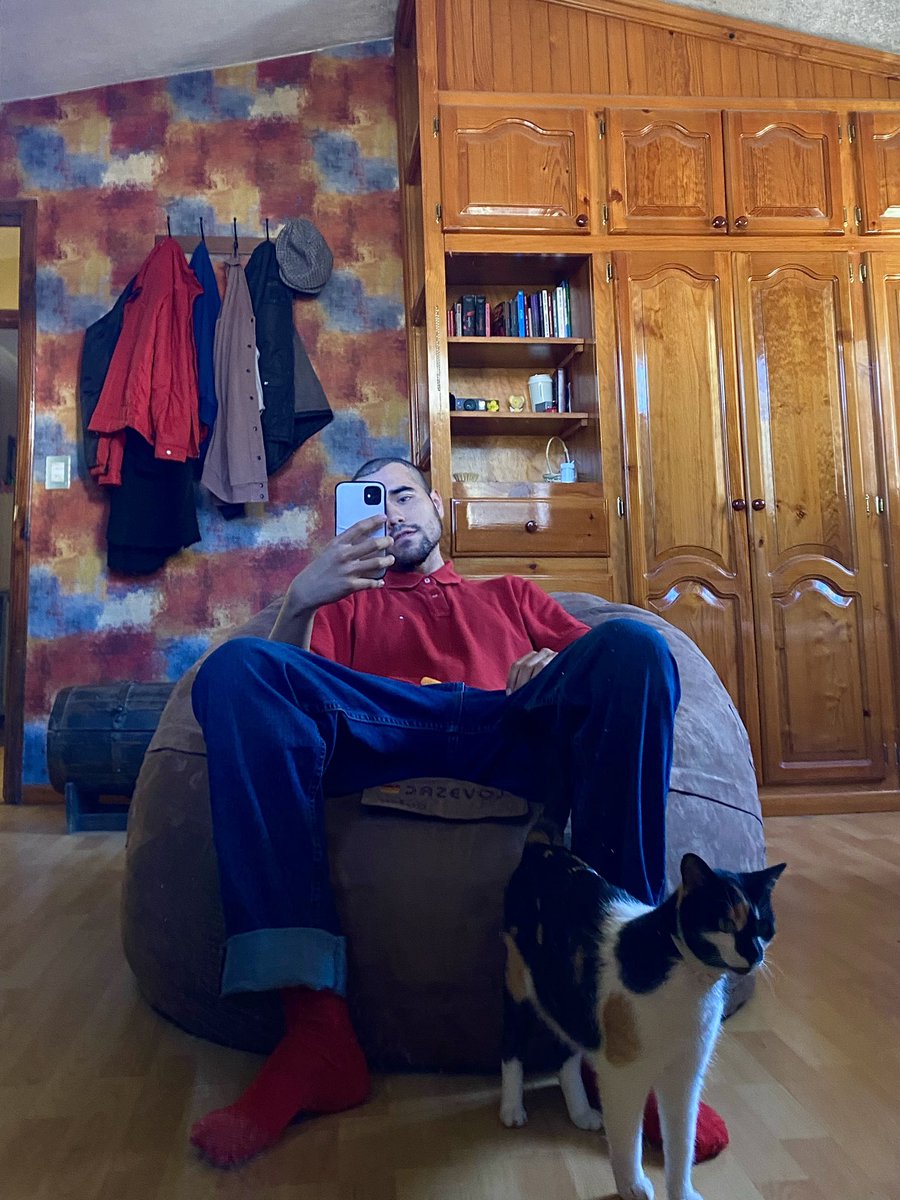 ferlozs's tweet photo. gatita bonita photobomber princess https://t.co/kfKhJwldcf
