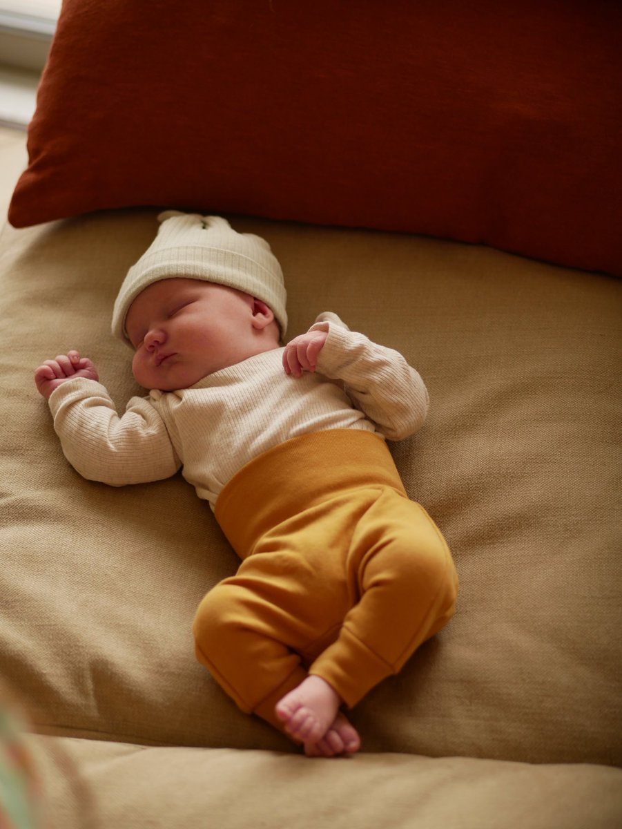 Ted Littledale tweet media