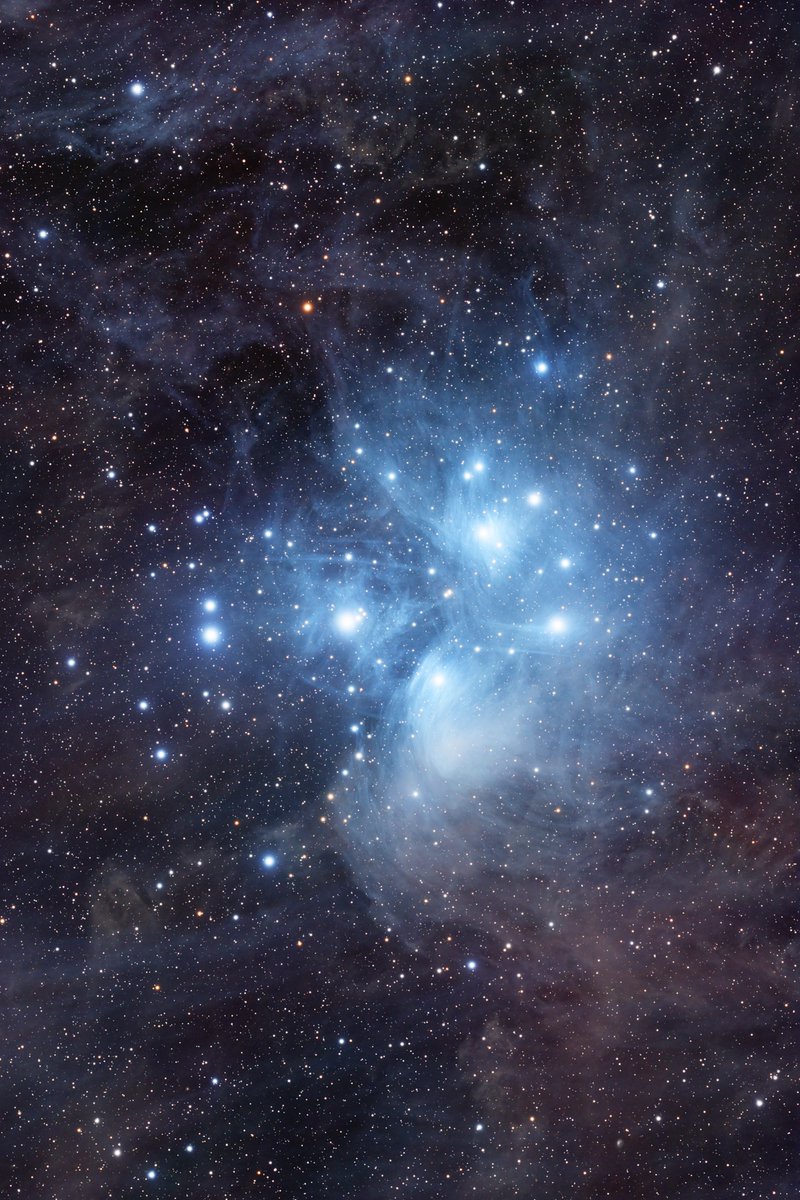 Over six hours of exposure at the Pleiades star cluster, aka The Seven Sisters. Imaged over Thanksgiving week in the Mojave Desert. The blue nebulosity is from the light of the stars passing through a cloud of dust and gas in the interstellar medium.
#astrophotography #astronomy